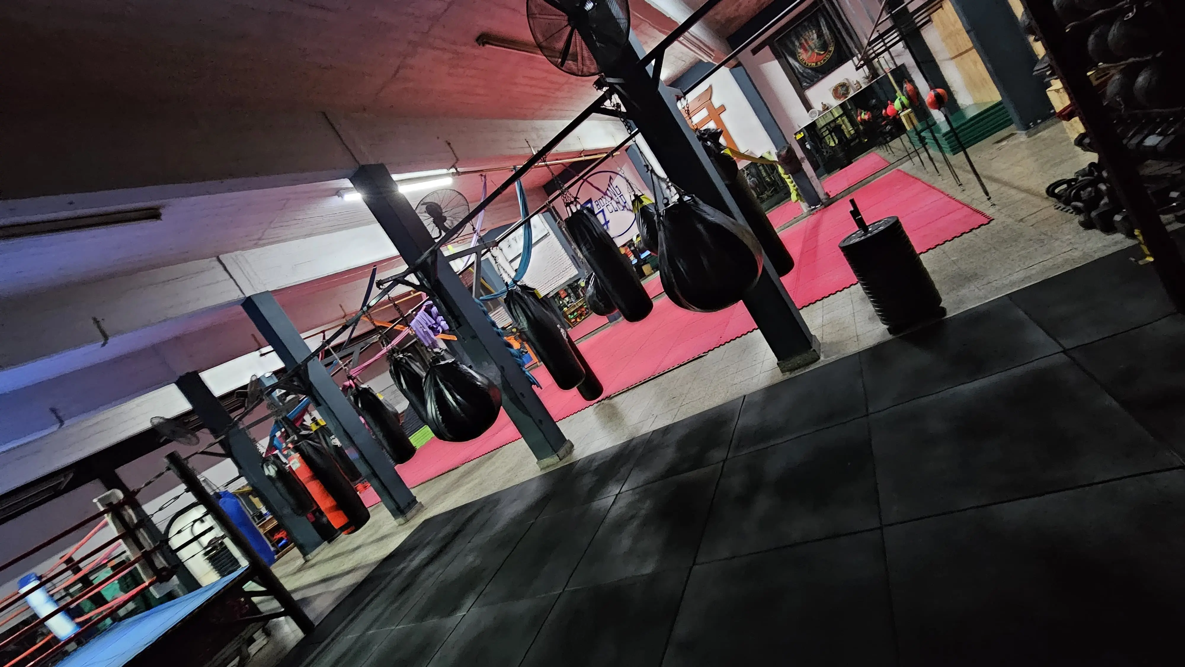 Ring oficial del club bajo la luz de combate en Morón